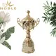 Noble Awards funky Trophy Cups ODM For Sport games 2