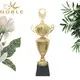 Noble Awards metal metal cup trophy for wholesale For Sport games2 3