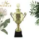 Noble Awards Breathable Personalized Metal trophies with Gift Box For Awards1 4