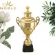 Noble Awards solid mesh Personalized Metal trophies with Gift Box For Awards1 3