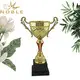 funky Cup trophies metal supplier For Sport games 4