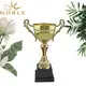 latest Metal trophies Aluminum with Gift Box For Sport games 3