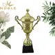 Noble Awards Aluminum Personalized Metal trophies with Gift Box For Gift 3