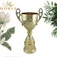 Noble Awards metal small trophy cup bulk production For Awards 2