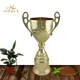 Noble Awards metal small trophy cup bulk production For Awards 4