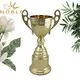 latest sports cup trophy metal customization For Gift 3