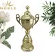 Noble Awards metal large metal trophy cup bulk production For Gift 3