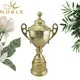 Noble Awards high-quality sports cups and trophies OEM For Sport games 4
