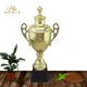 Noble Awards metal custom cup trophy free sample For Awards 3