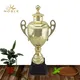 high-quality champions cup trophy metal free sample For Awards 4