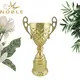 at discount award cup metal customization For Sport games 2