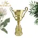 Noble Awards metal champions cup trophy buy now For Awards 2