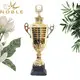 high-quality small trophy cup metal OEM For Sport games 2