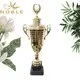 Noble Awards funky champion trophy customization For Awards 3