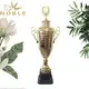Noble Awards metal trophy cup supplier For Sport games 2