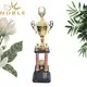 Noble Awards solid mesh giant trophy cup buy now For Sport games 2