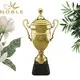 at discount trophy cup metal customization For Awards 2