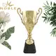 Noble Awards metal gold cup trophy buy now For Awards 4