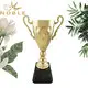 Noble Awards Breathable bespoke cup trophy OEM For Sport games 2