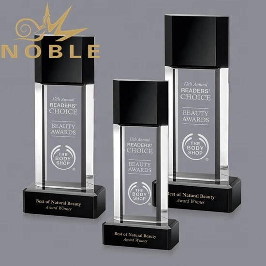 Best Selling High Quality Custom Crystal Plaque Award Combine with Black Crystal1 1
