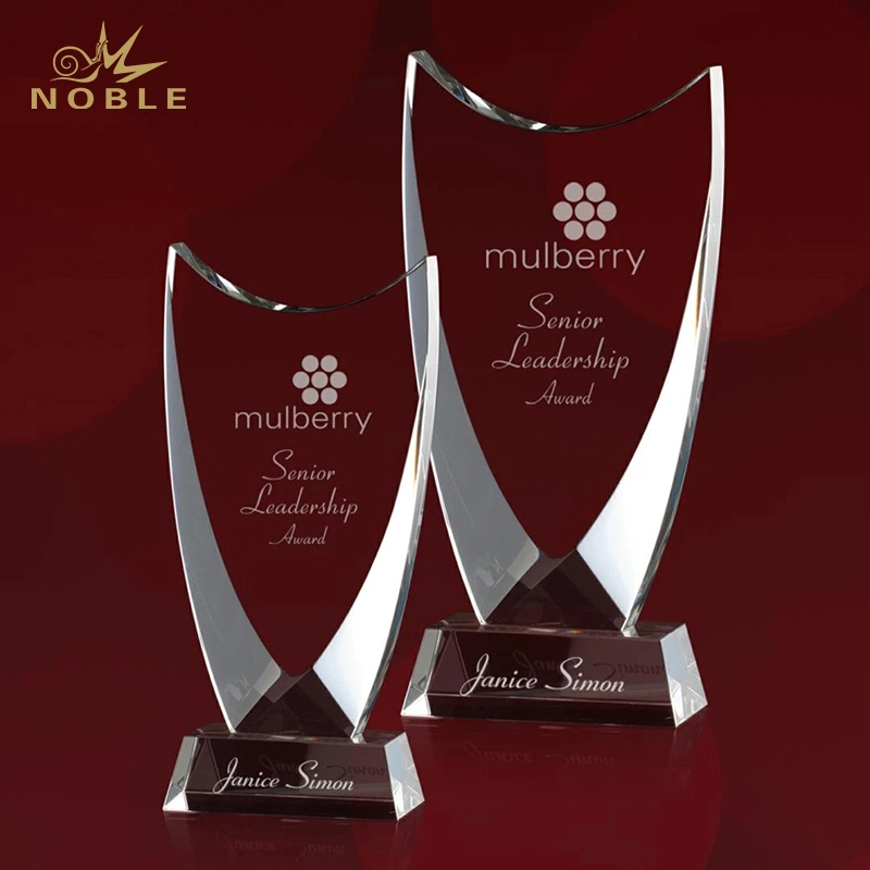 Custom New Design Free Engraving Crystal Dawkins Award Optical Crystal Plaque Trophy 1