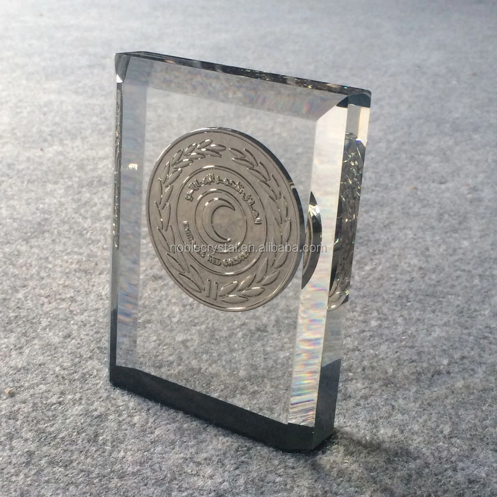 Creative gifts Clear Acrylic Souvenir Coin Paperweight Lucite Embedding 1
