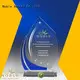 Customized True Star Acrylic Trophy Award For Awards Noble Awards 1