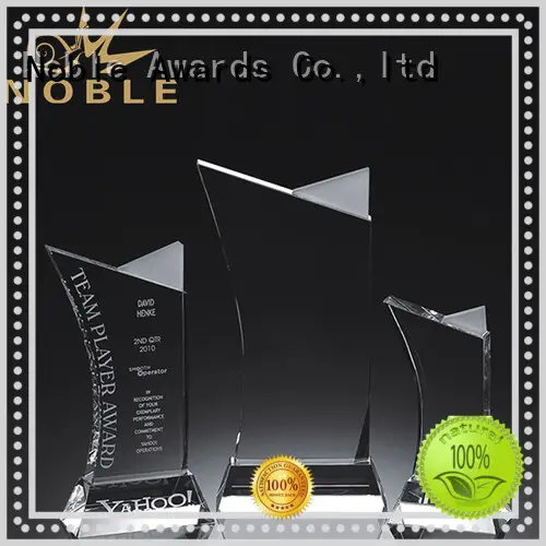 funky Blank Crystal Trophy premium glass bulk production For Gift 1