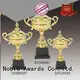 Noble Awards funky metal cup trophy OEM For Gift 1