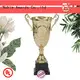 Noble Awards latest Personalized Metal trophies with Gift Box For Sport games 1