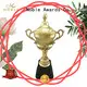 latest Personalized Metal trophies K9 Crystal with Gift Box For Awards 1