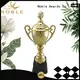 Noble Awards metal ODM For Sport games 1