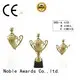 Noble Awards metal Trophy Cups buy now For Sport games 1