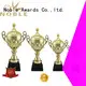 Noble Awards metal Trophy Cups OEM For Awards 1