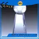 Noble Awards premium glass Crystal Trophy Award OEM For Awards 1