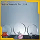 Noble Awards premium glass Crystal trophies customization For Sport games1 1