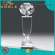 Noble Awards portable Crystal Trophy Award bulk production For Sport games 1
