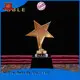 Noble Awards funky Metal trophies with Gift Box For Gift 1