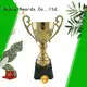 Noble Awards portable Metal trophies with Gift Box For Gift 1