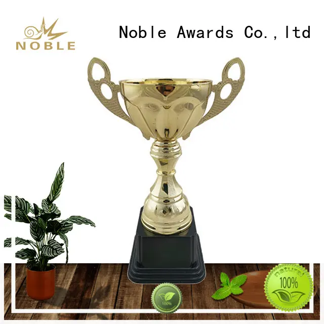 Noble Awards metal Trophy Cups buy now For Gift2 1
