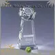 Noble Awards durable Blank Crystal Trophy bulk production For Sport games 1