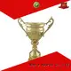 Noble Awards metal Trophy Cups bulk production For Awards 1