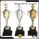 portable glass trophy Transparent get quote For Sport games 1
