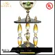 Noble Awards latest Metal trophies with Gift Box For Sport games 1
