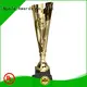 Noble Awards at discount Personalized Metal trophies with Gift Box For Gift 1