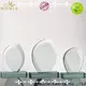 durable Blank Crystal Trophy premium glass customization For Awards 1