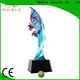 Noble Awards handcraft best trophies ODM For Sport games1 1