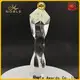 solid mesh Blank Crystal Trophy premium glass ODM For Awards 1