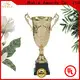 Noble Awards durable Personalized Metal trophies with Gift Box For Awards 1