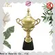 Noble Awards Aluminum Metal trophies with Gift Box For Sport games 1